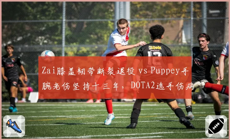 Zai膝盖韧带断裂退役 vs Puppey手腕老伤坚持十三年,DOTA2选手伤病耐久度对比