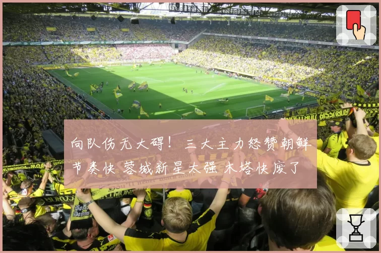 向队伤无大碍！三大主力怒赞朝鲜节奏快 蓉城新星太强 木塔快废了