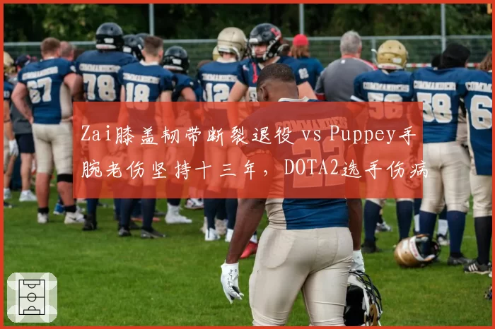 Zai膝盖韧带断裂退役 vs Puppey手腕老伤坚持十三年，DOTA2选手伤病耐久度对比