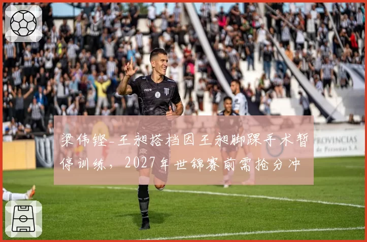 梁伟铿_王昶搭档因王昶脚踝手术暂停训练,2027年世锦赛前需抢分冲击种子席位