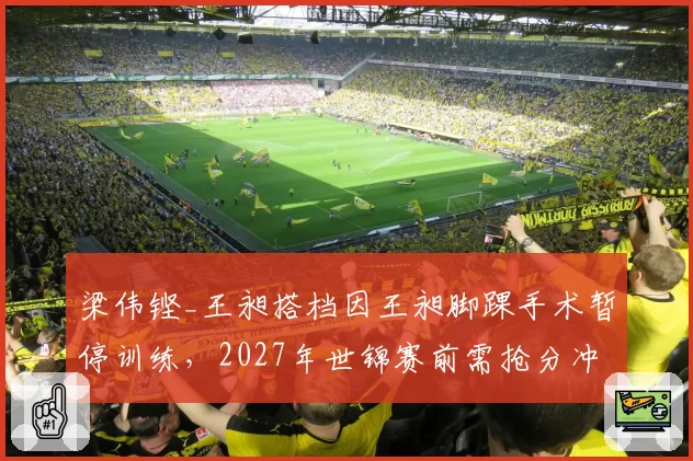 梁伟铿_王昶搭档因王昶脚踝手术暂停训练，2027年世锦赛前需抢分冲击种子席位